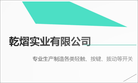 湛江开关